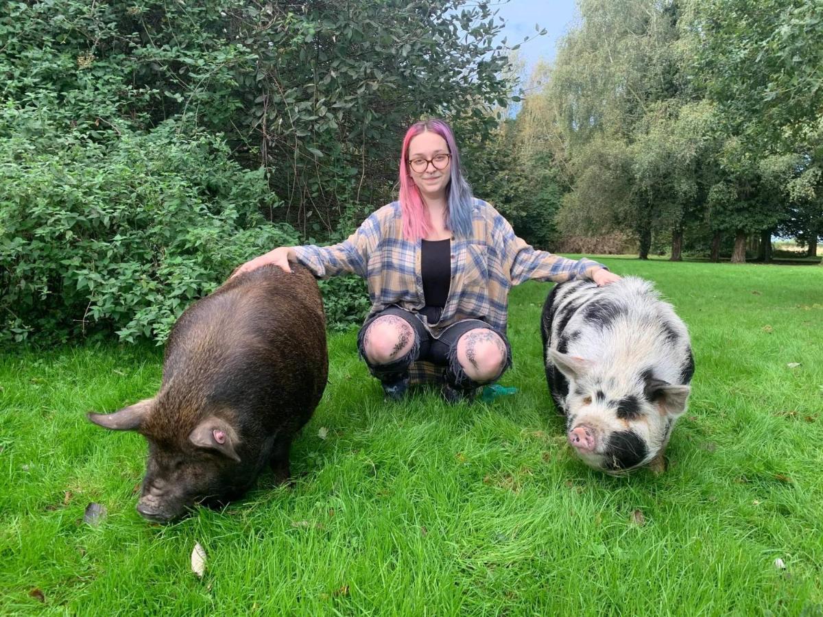 Starry Meadow & Rescued Animal Experiences Villa Great Yarmouth Exterior photo